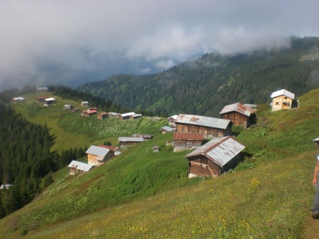 CIMG0620.jpg