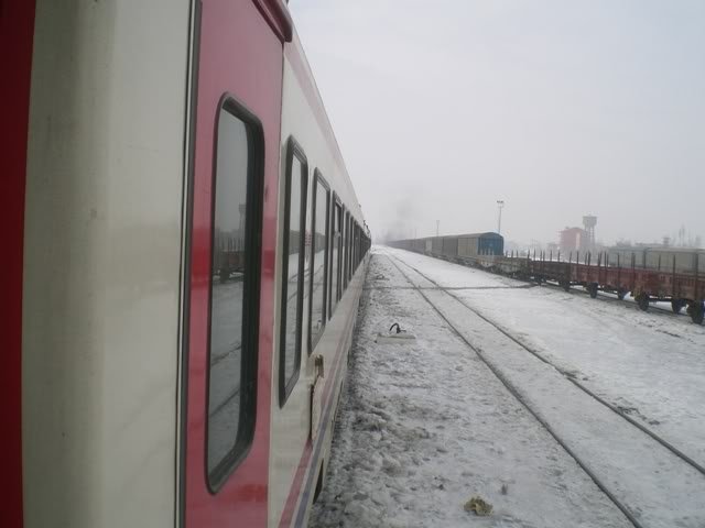 CIMG1037.jpg
