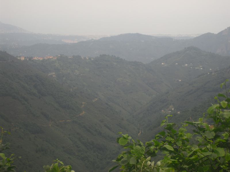CIMG1085.jpg