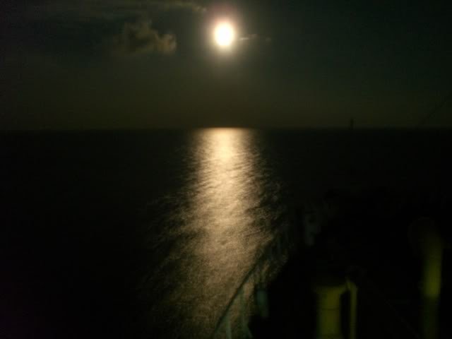 CIMG1126.jpg