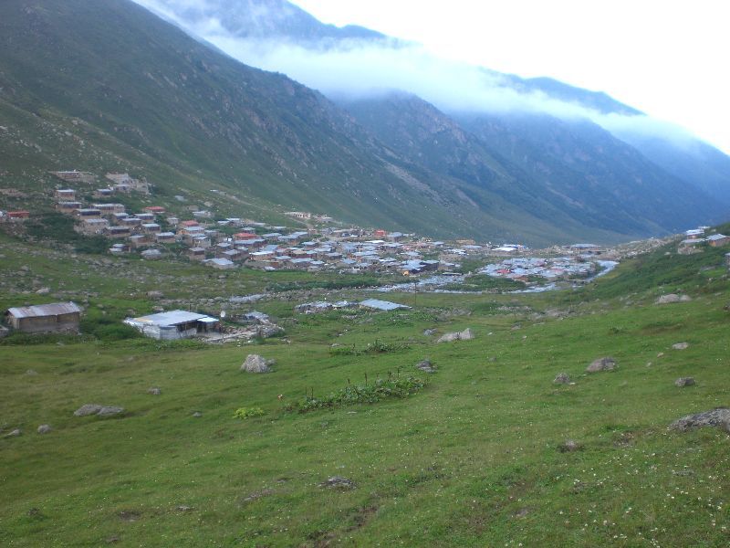 CIMG1194.jpg