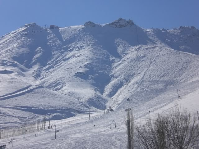 CIMG1238.jpg