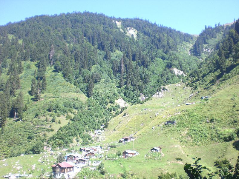 CIMG1287.jpg