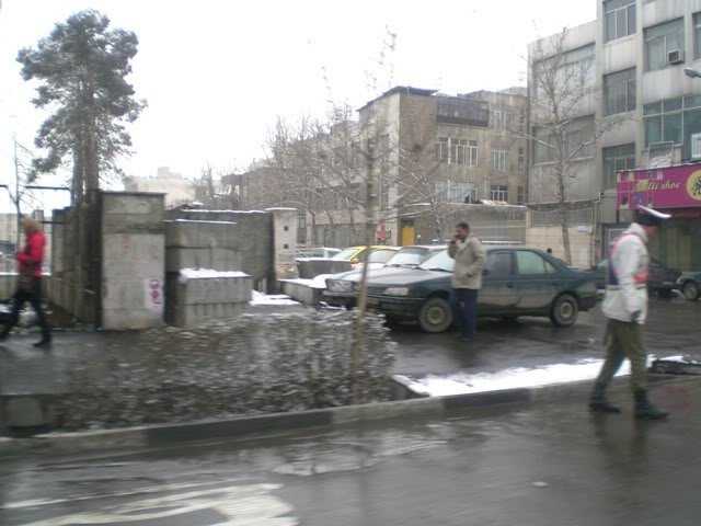 CIMG1411.jpg