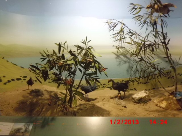 CIMG1840.JPG