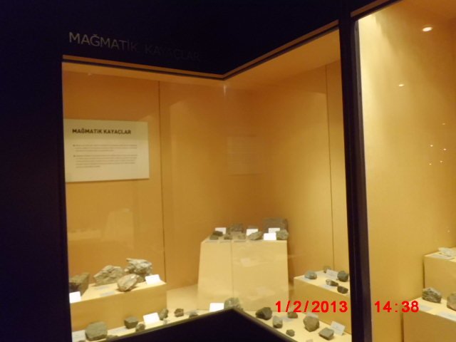 CIMG1851.JPG