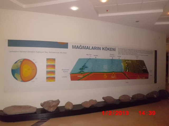 CIMG1854.JPG