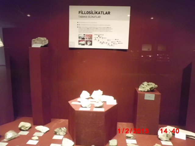 CIMG1860.JPG