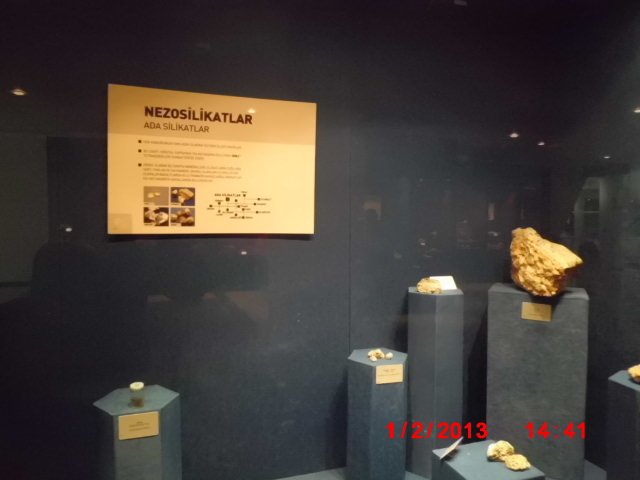 CIMG1862.JPG