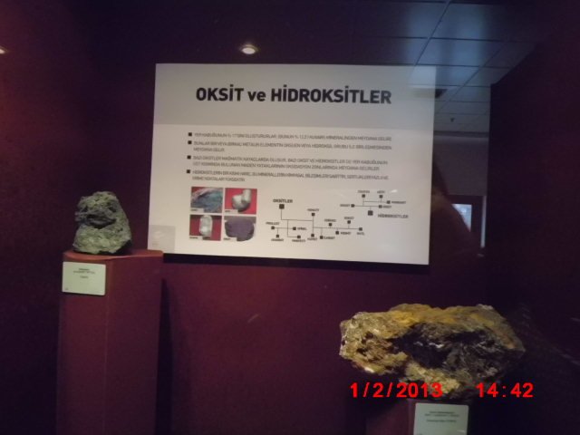 CIMG1867.JPG