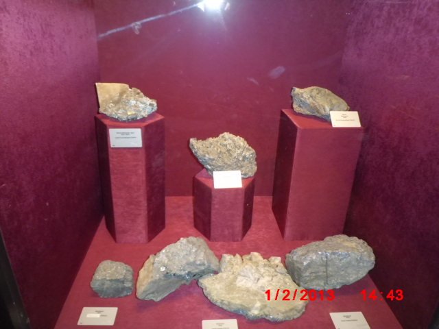 CIMG1868.JPG