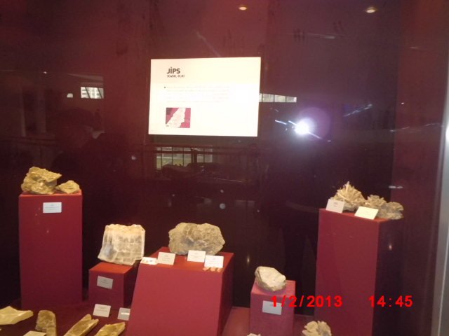 CIMG1873.JPG