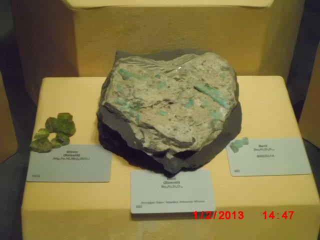 CIMG1878.JPG