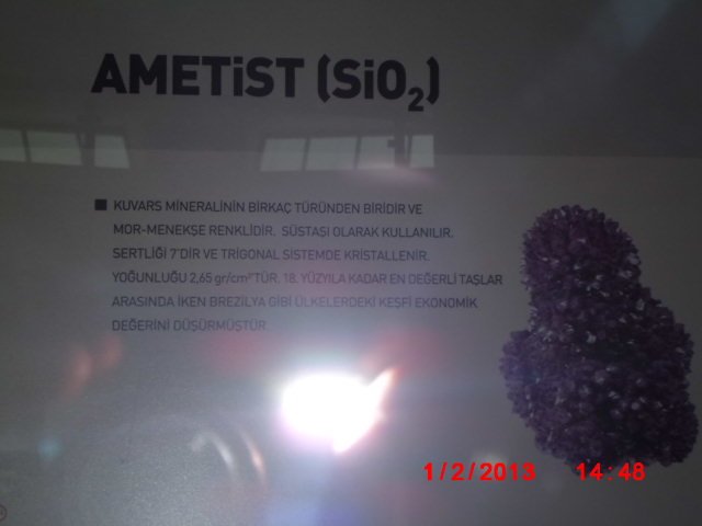 CIMG1880.JPG