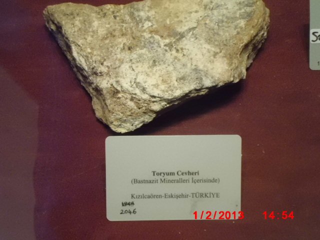 CIMG1900.JPG