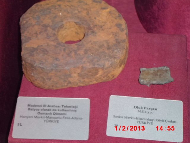 CIMG1901.JPG