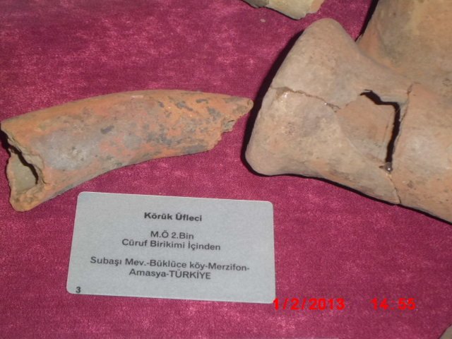 CIMG1903.JPG