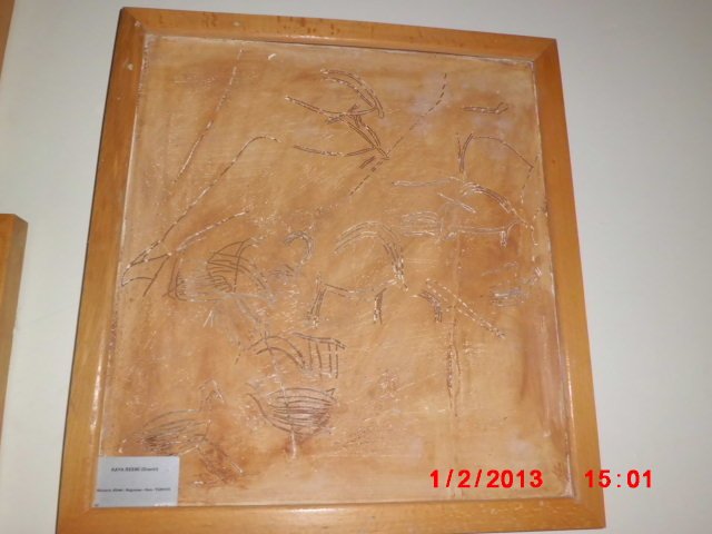 CIMG1914.JPG