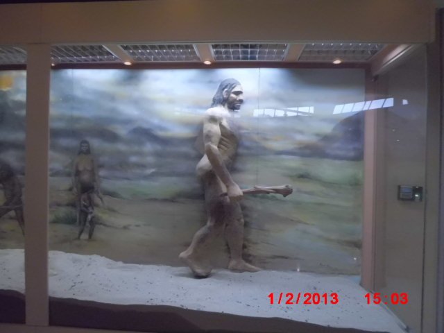 CIMG1920.JPG