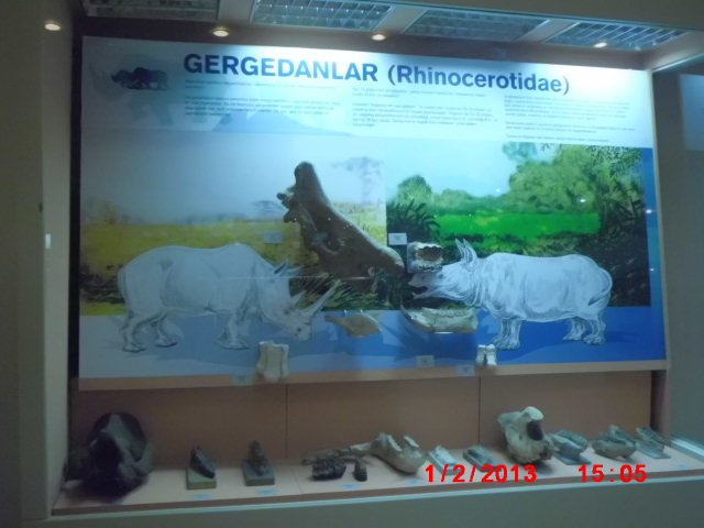 CIMG1930.JPG