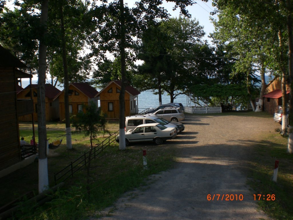 CIMG2429.jpg