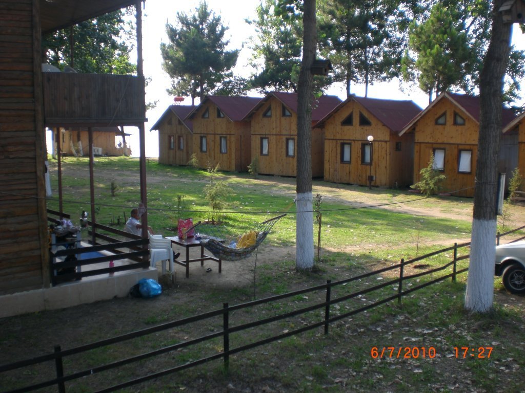 CIMG2431.jpg