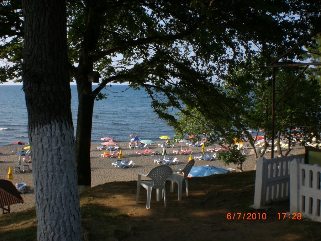 CIMG2434.JPG