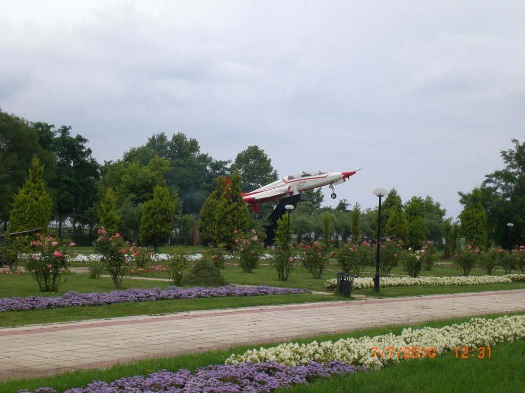 CIMG2441.JPG