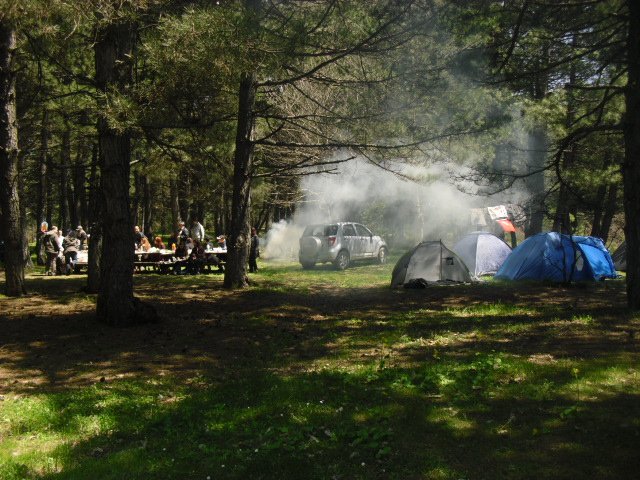 CIMG2493.JPG