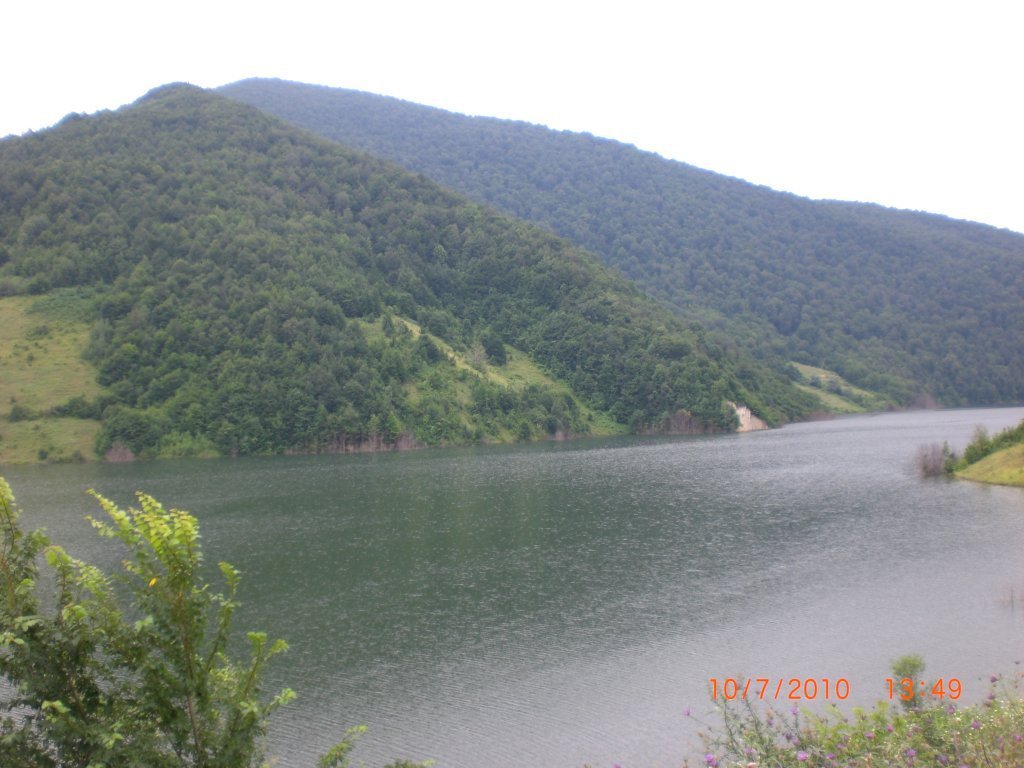 CIMG2592.JPG