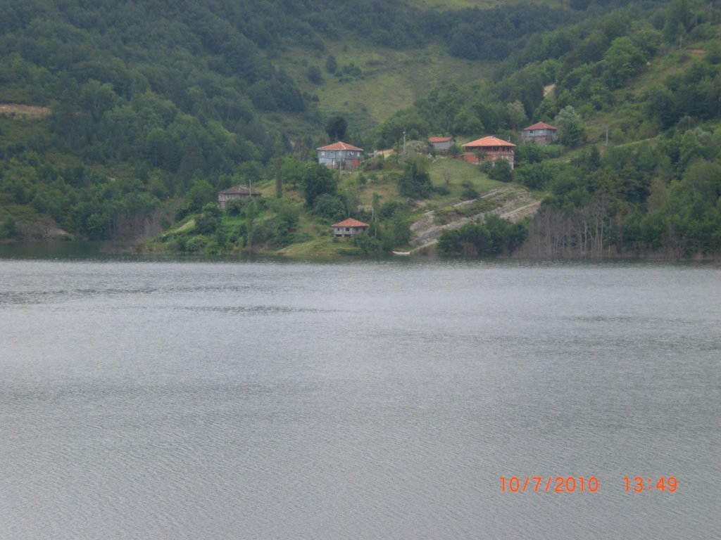 CIMG2593.JPG