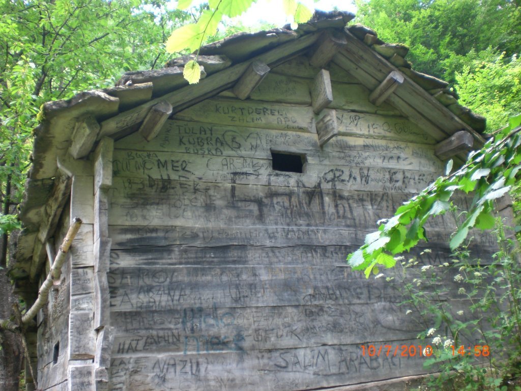 CIMG2668.JPG