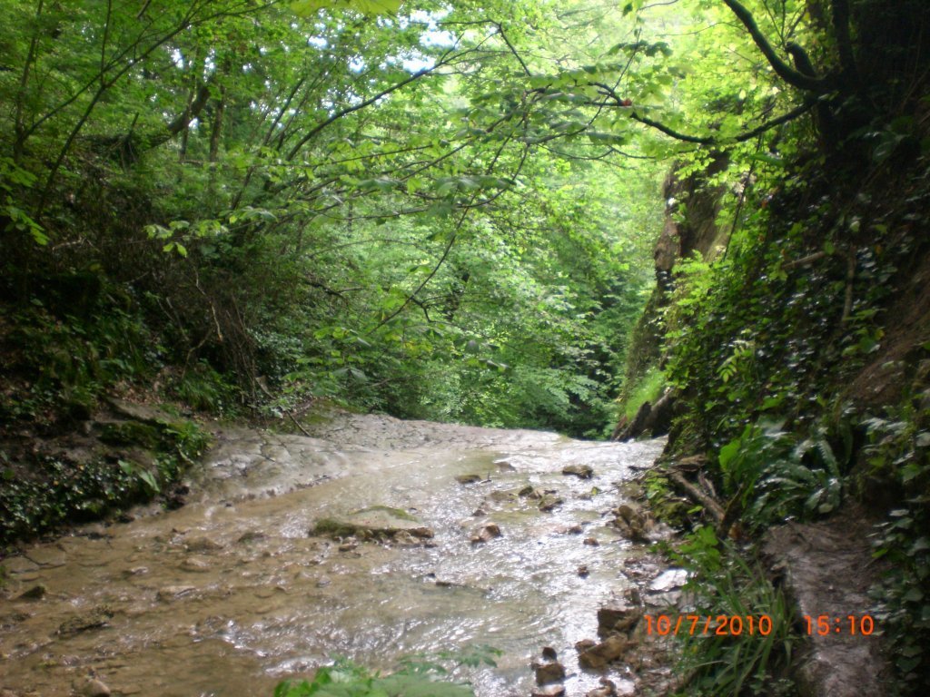 CIMG2674.JPG
