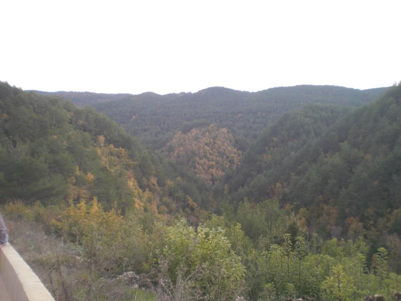 CIMG2782_800x600.jpg