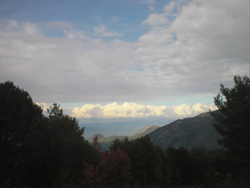 CIMG2786_800x600.jpg
