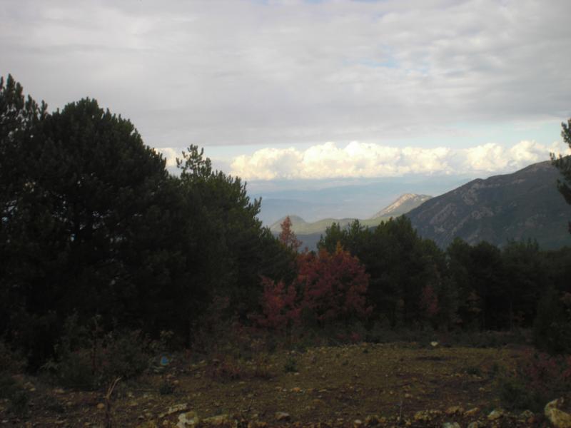CIMG2787_800x600.jpg