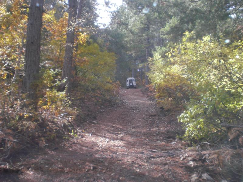 CIMG2808_800x600.jpg