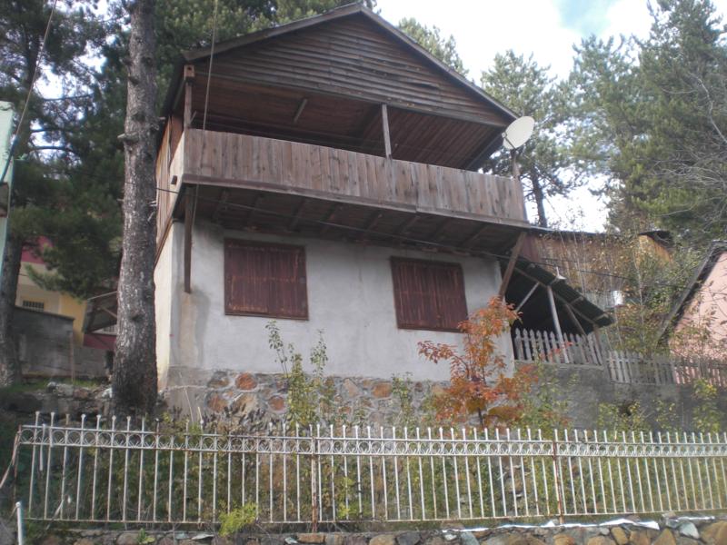 CIMG2811_800x600.jpg