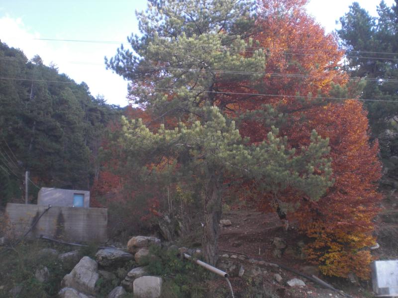 CIMG2821_800x600.jpg