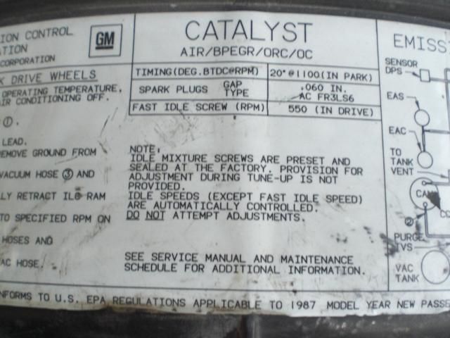 CIMG5037.jpg