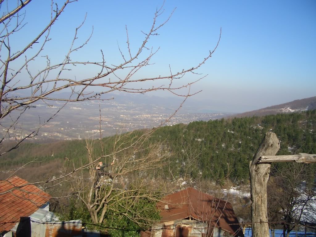 CIMG5649.jpg