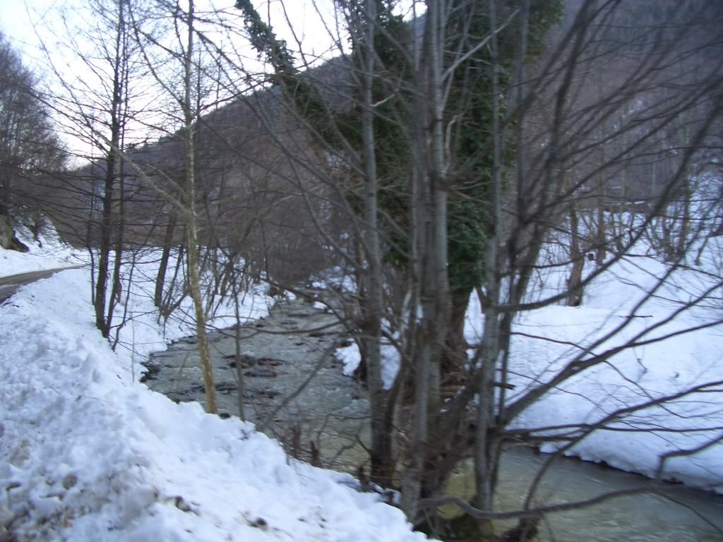 CIMG5675.jpg