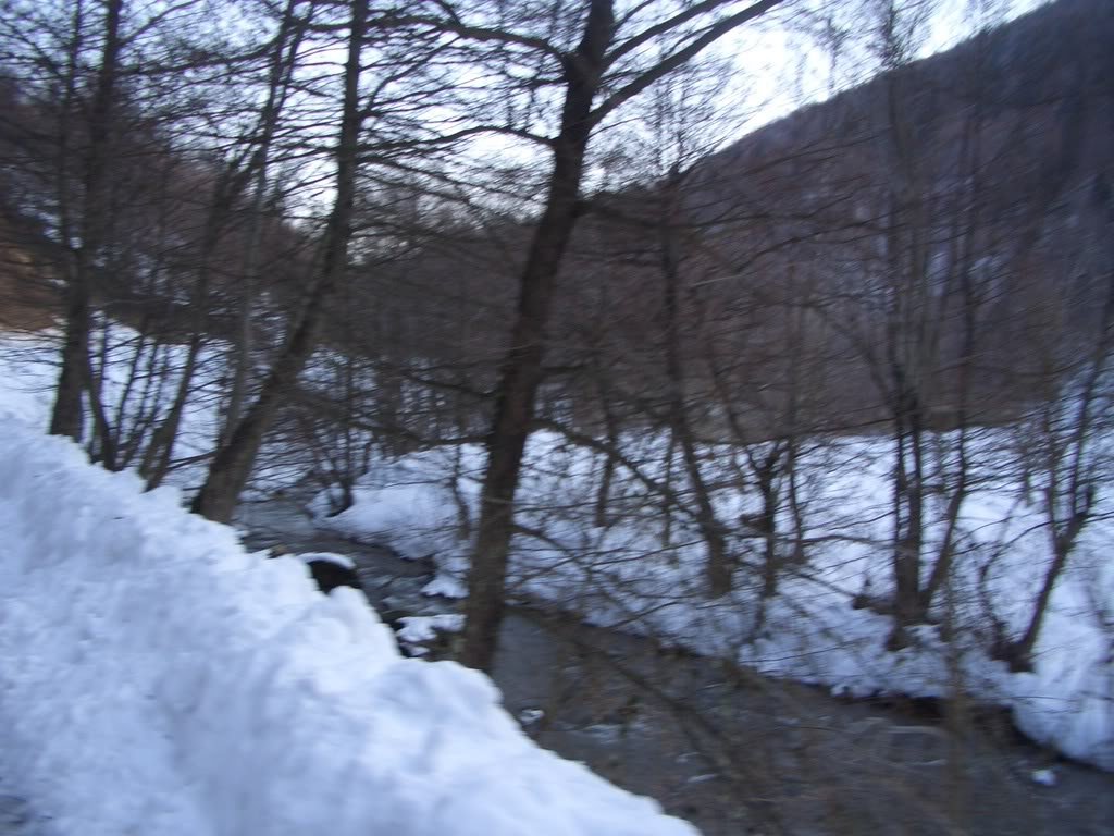 CIMG5676.jpg