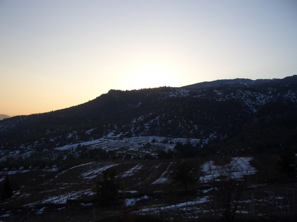 CIMG5709.jpg