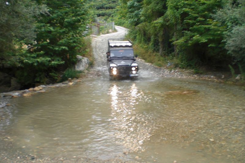 CIMG5929.jpg