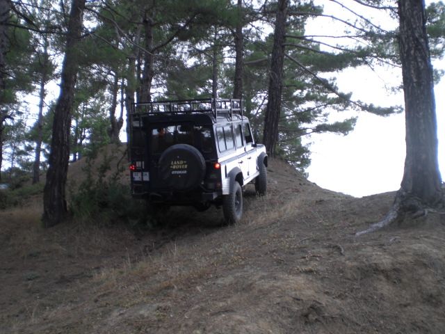 CIMG5961.jpg