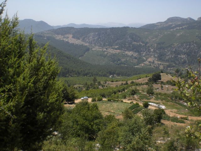CIMG6247.jpg