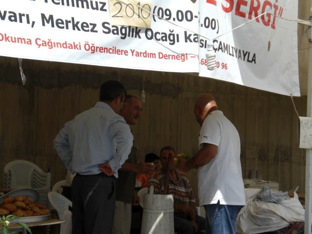 CIMG6254.jpg
