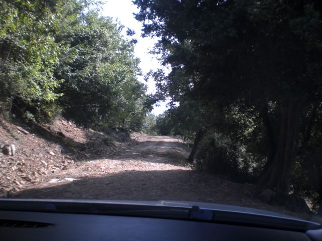 CIMG6270.jpg