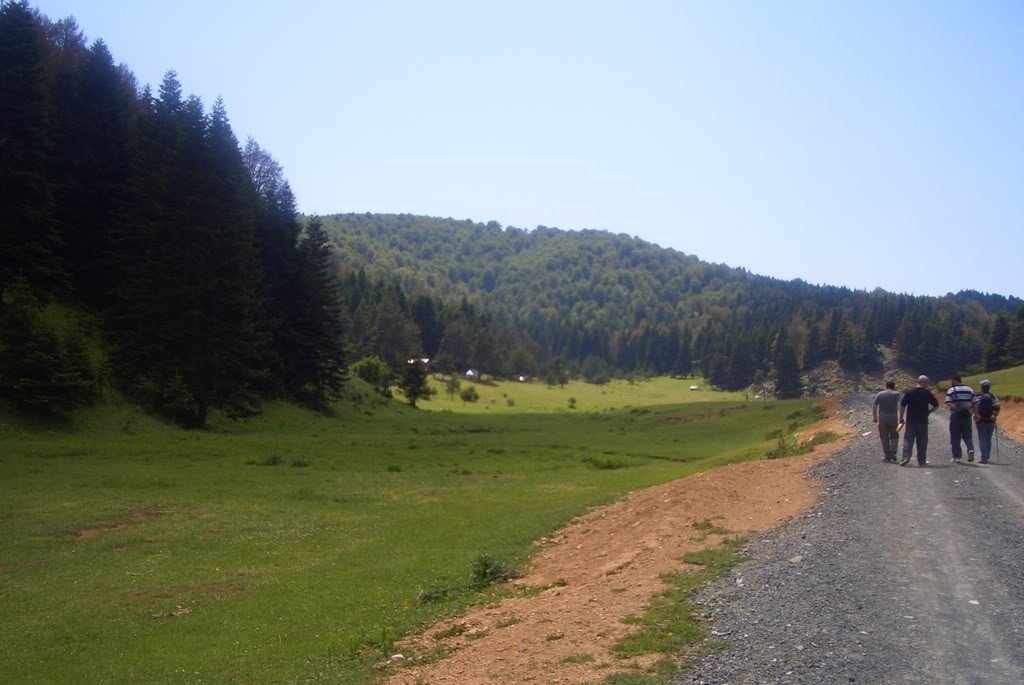 CIMG6739.jpg